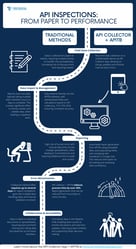 API Inspection Roadmap - v. FINAL